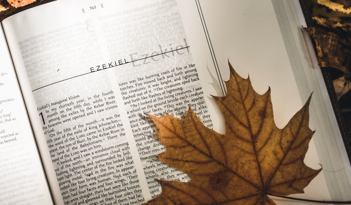 An open bible journal and fallen autumn leaf