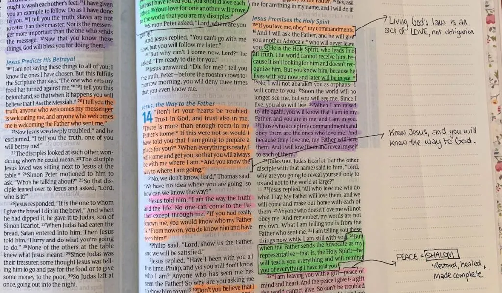 Highlighted paragraphs in an open bible journal