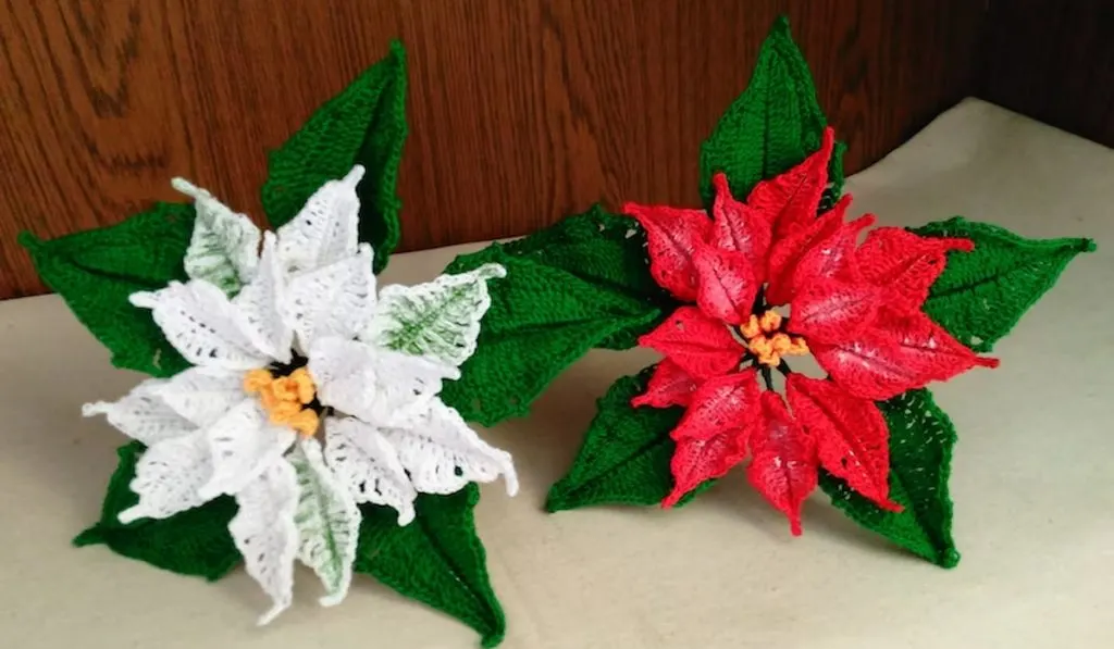 Crochet Poinsettia Pattern by FCFCrochetFlowers white and red flowers