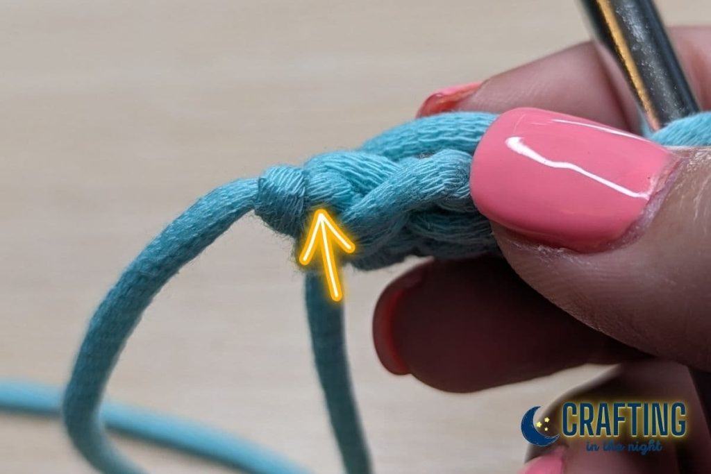 Step 7. Yarn over and insert your hook under two loops of the stitch formed by our first yarn over and pull through. 