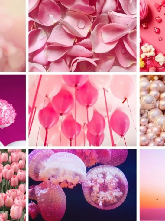 collage of images from the pink yarn color palette post