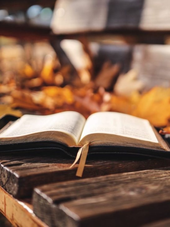 an open bible on a bench