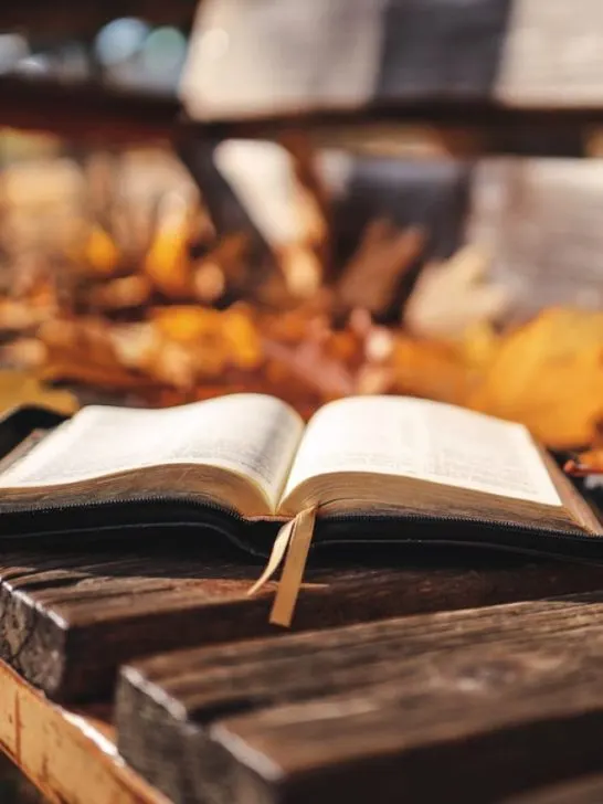 an open bible on a bench