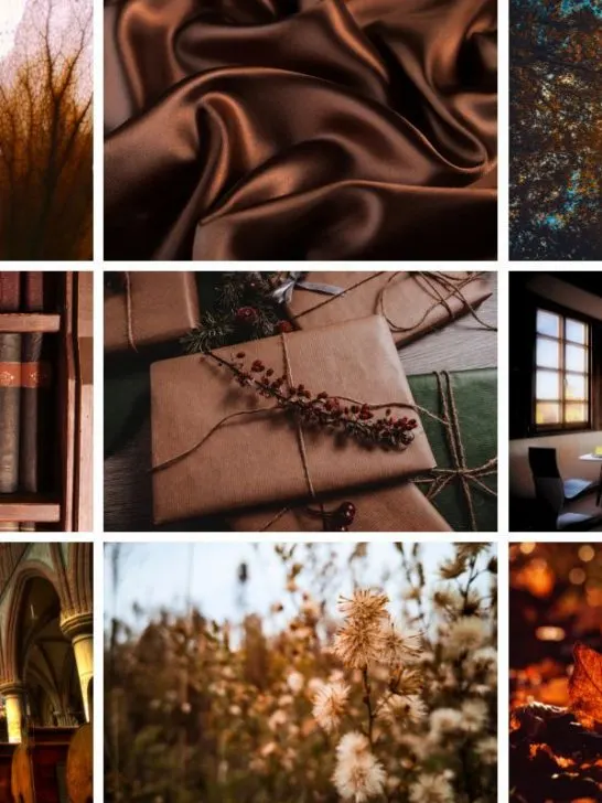 collage of different images of brown color palette post