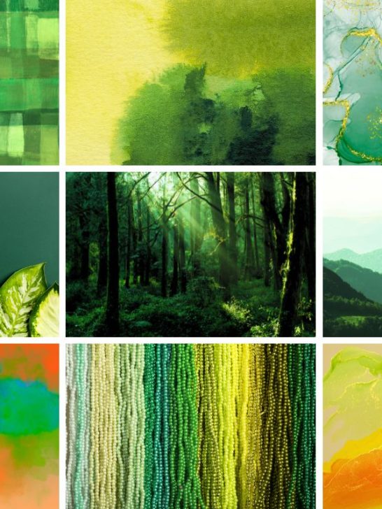 collage of different images from green color palette post