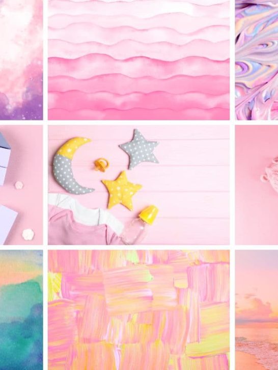 collage of different images from baby girl color palette post