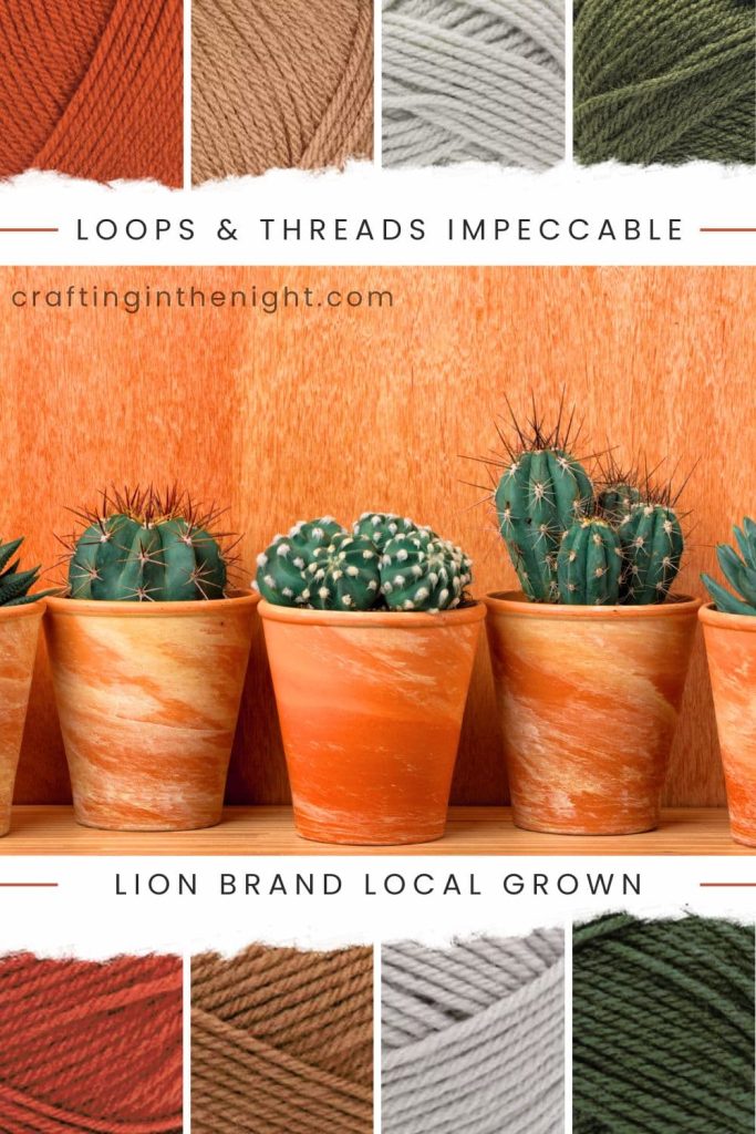 Inviting Nature yarn color palette for crochet or knit includes Red Orange, Light Brown, Light Grey, and Dark Green in Loops & Threads Impeccable and Lion Brand Local Grown