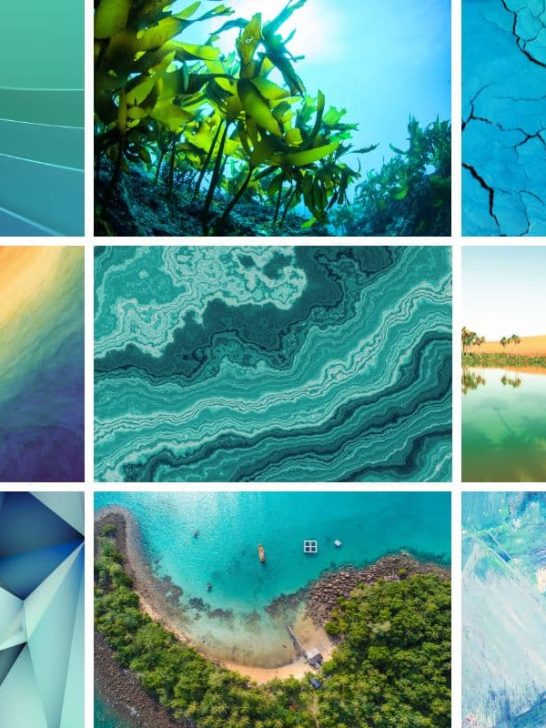 collage of different images from blue green color palette post