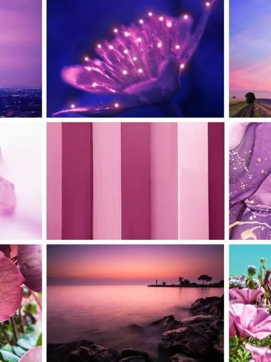 collage of different images from mauve color palette post