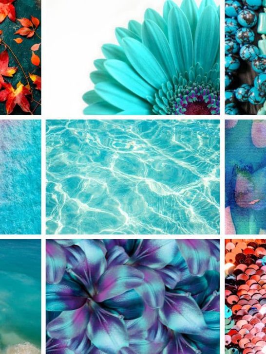 collage of different images from turquoise color palette post
